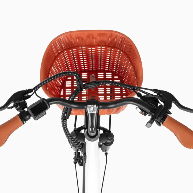 DYU C6 Pro 26in City E-Bike, 250W, 80KM Range 7