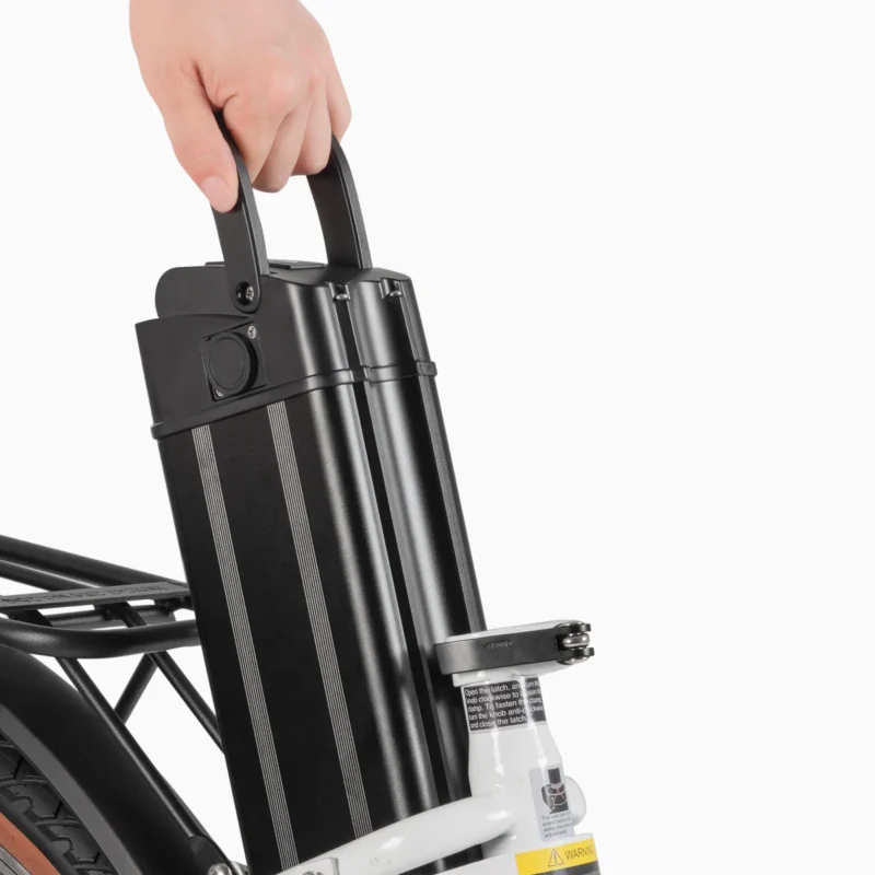 DYU C6 Pro 26in City E-Bike, 250W, 80KM Range 2