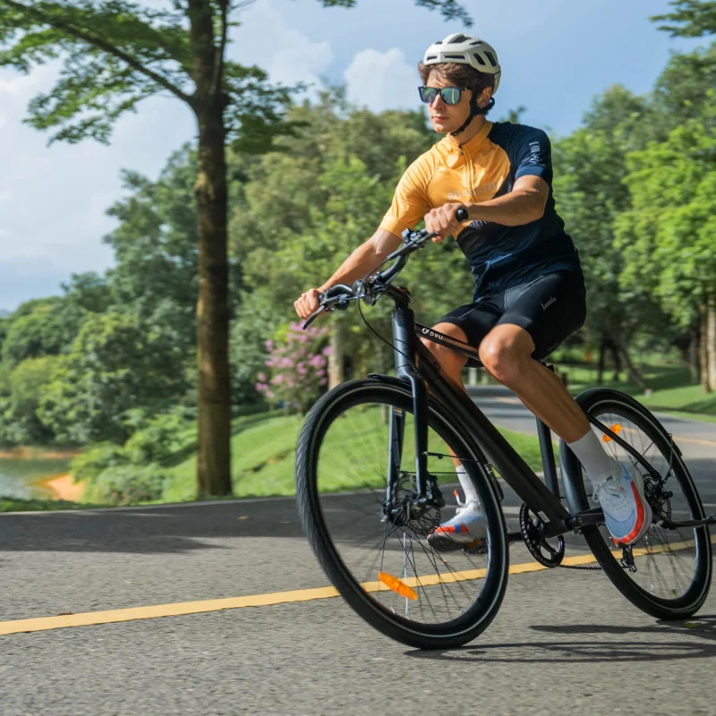 DYU Stroll 1 700C City E-Bike, 250W, 100KM Range 12