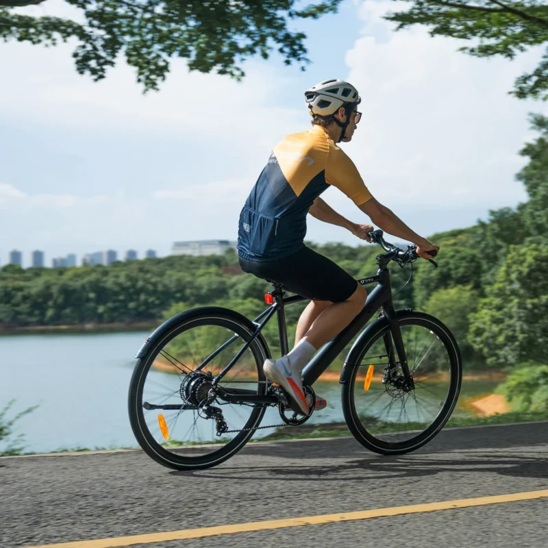 DYU Stroll 1 700C City E-Bike, 250W, 100KM Range 13