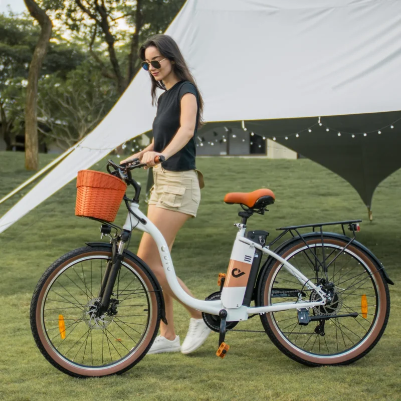 DYU C6 Pro 26in City E-Bike, 250W, 80KM Range 10