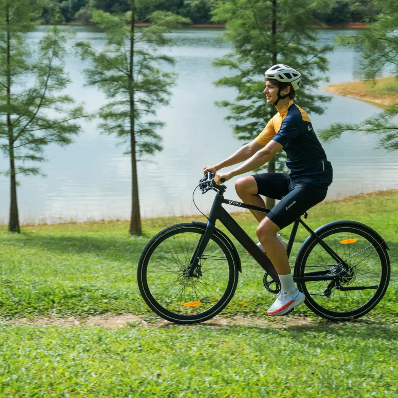 DYU Stroll 1 700C City E-Bike, 250W, 100KM Range 15