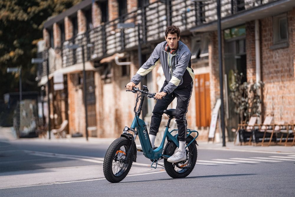 DYU FF500 20 Inch Fat Tire Electric Bike - Image 2