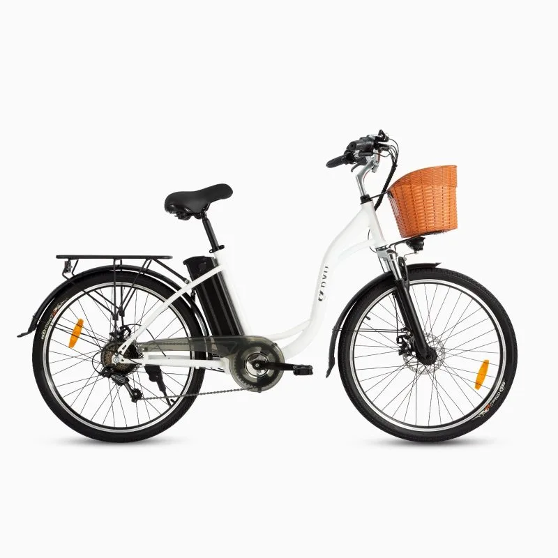 DYU C6 26in City E-Bike, 250W, 60KM Range