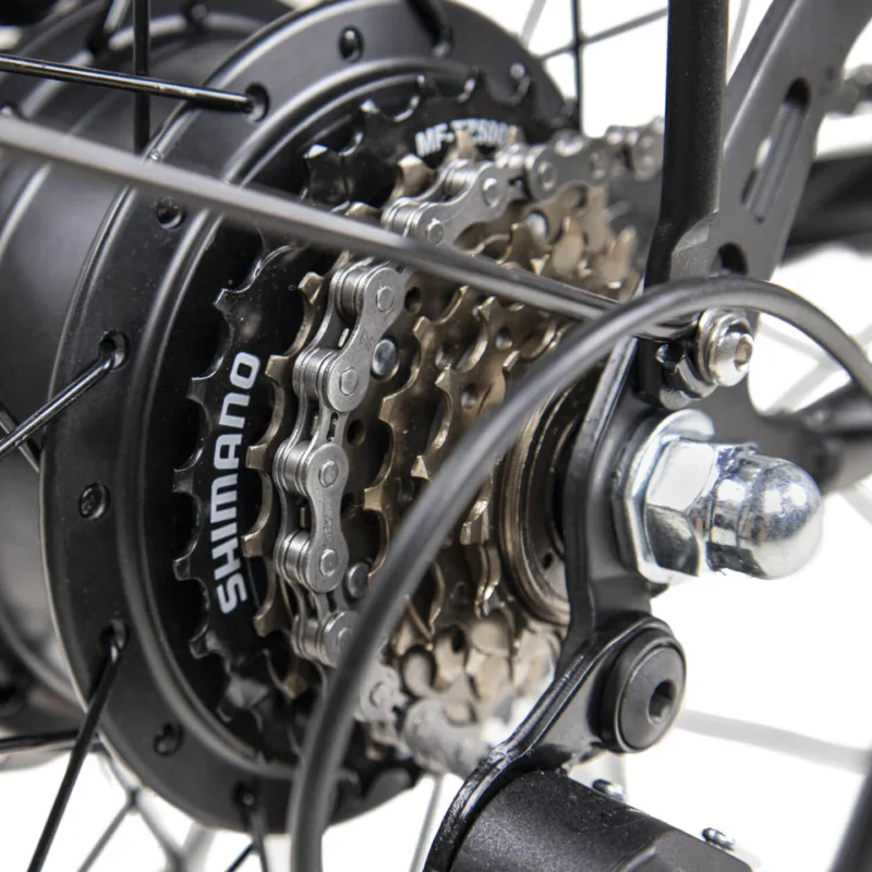 DYU C6 26in City E-Bike, 250W, 60KM Range 7