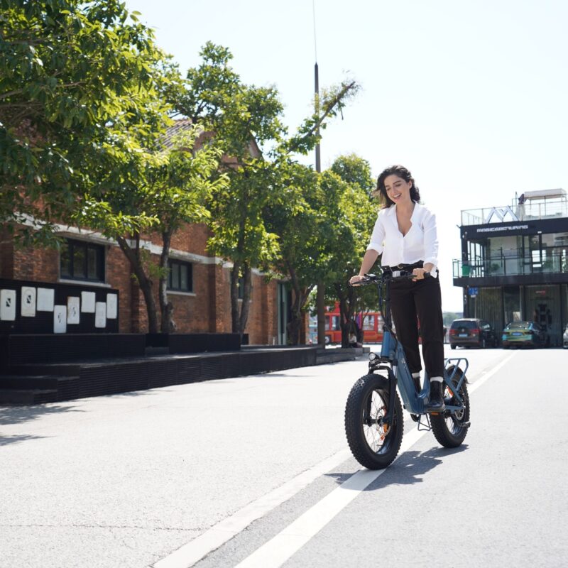 DYU FF500 20in Fat Tire E-Bike, 250W, 70km Range 22 DYU FF500 20in Fat Tire E-Bike, 250W, 70km Range 9