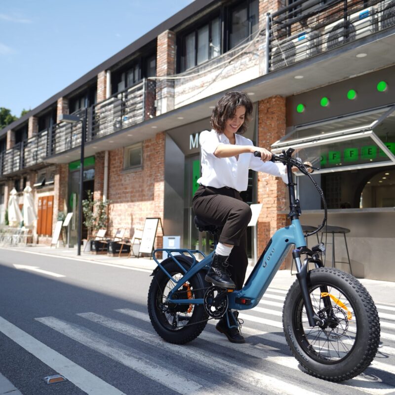 DYU FF500 20in Fat Tire E-Bike, 250W, 70km Range 23 DYU FF500 20in Fat Tire E-Bike, 250W, 70km Range 10