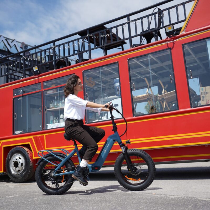 DYU FF500 20in Fat Tire E-Bike, 250W, 70km Range 24 DYU FF500 20in Fat Tire E-Bike, 250W, 70km Range 11