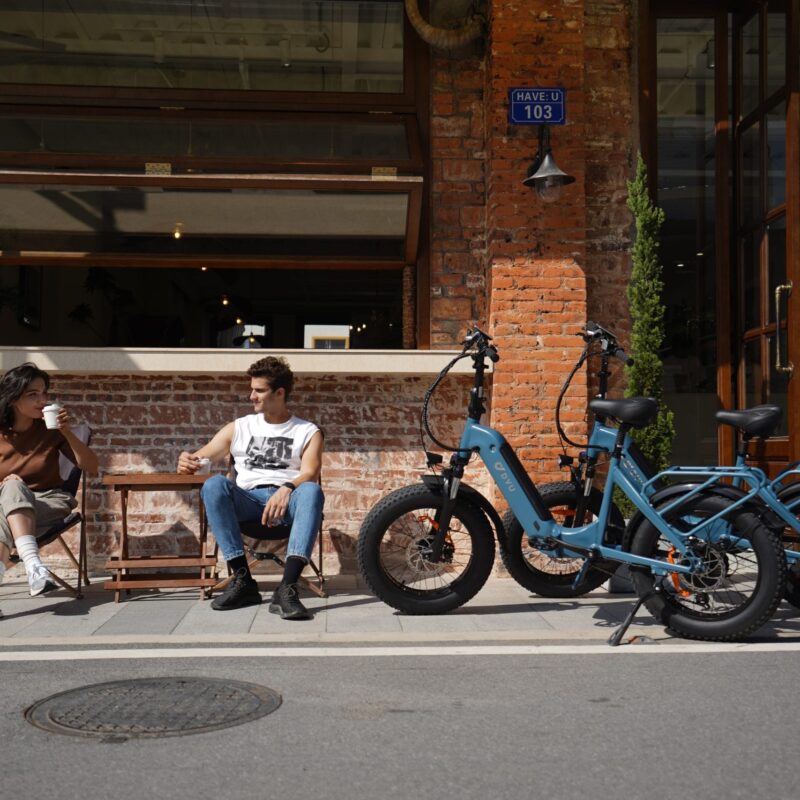 DYU FF500 20in Fat Tire E-Bike, 250W, 70km Range 25 DYU FF500 20in Fat Tire E-Bike, 250W, 70km Range 12