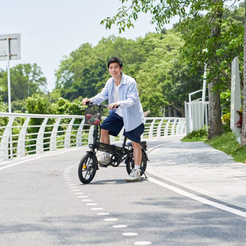 DYU A1F Pro 16in Folding E-Bike, 250W, Easy Storage 10