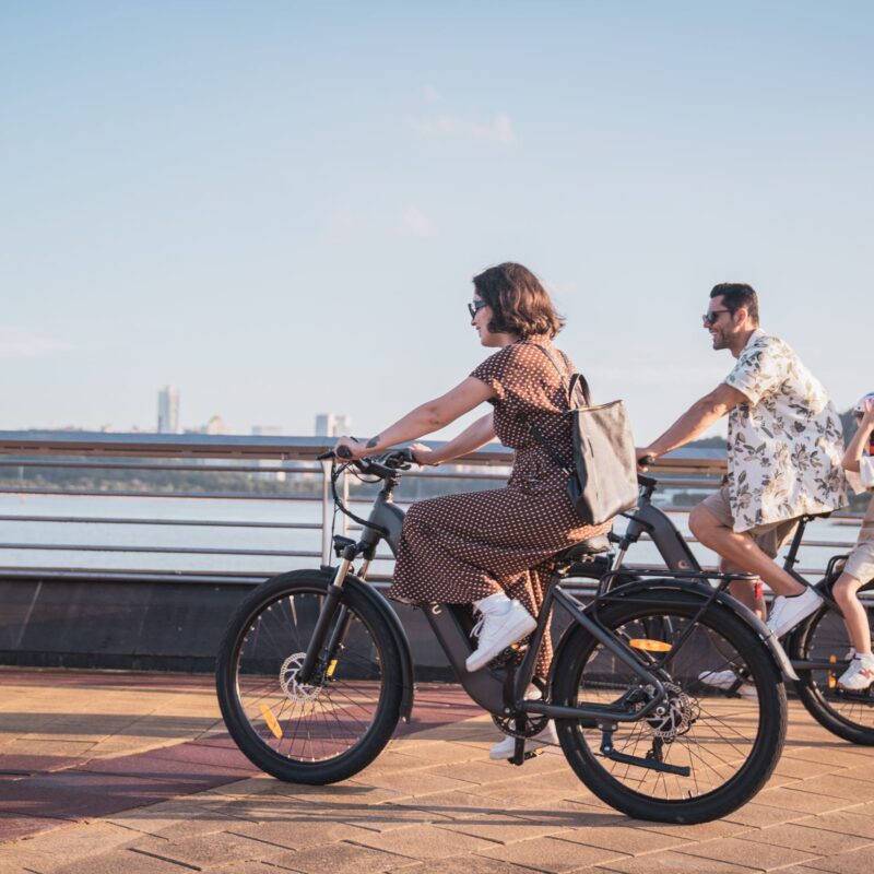 DYU C1 26in City E-Bike, 65KM Range 10