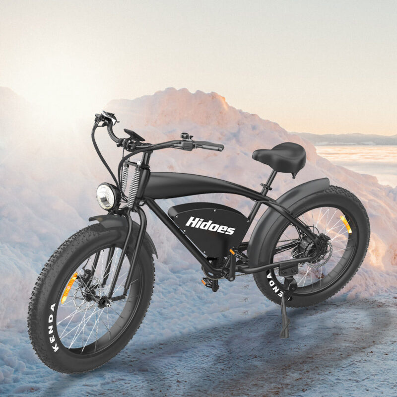 Hidoes B3 1200W Electric Bike - Retro Vintage Fat Tire E-Bike for Adventure and City Rides 2