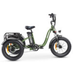 Hidoes ET1 750W Electric Tricycle – Powerful Fat Tire E-Trike with Long-Lasting 20Ah Battery
