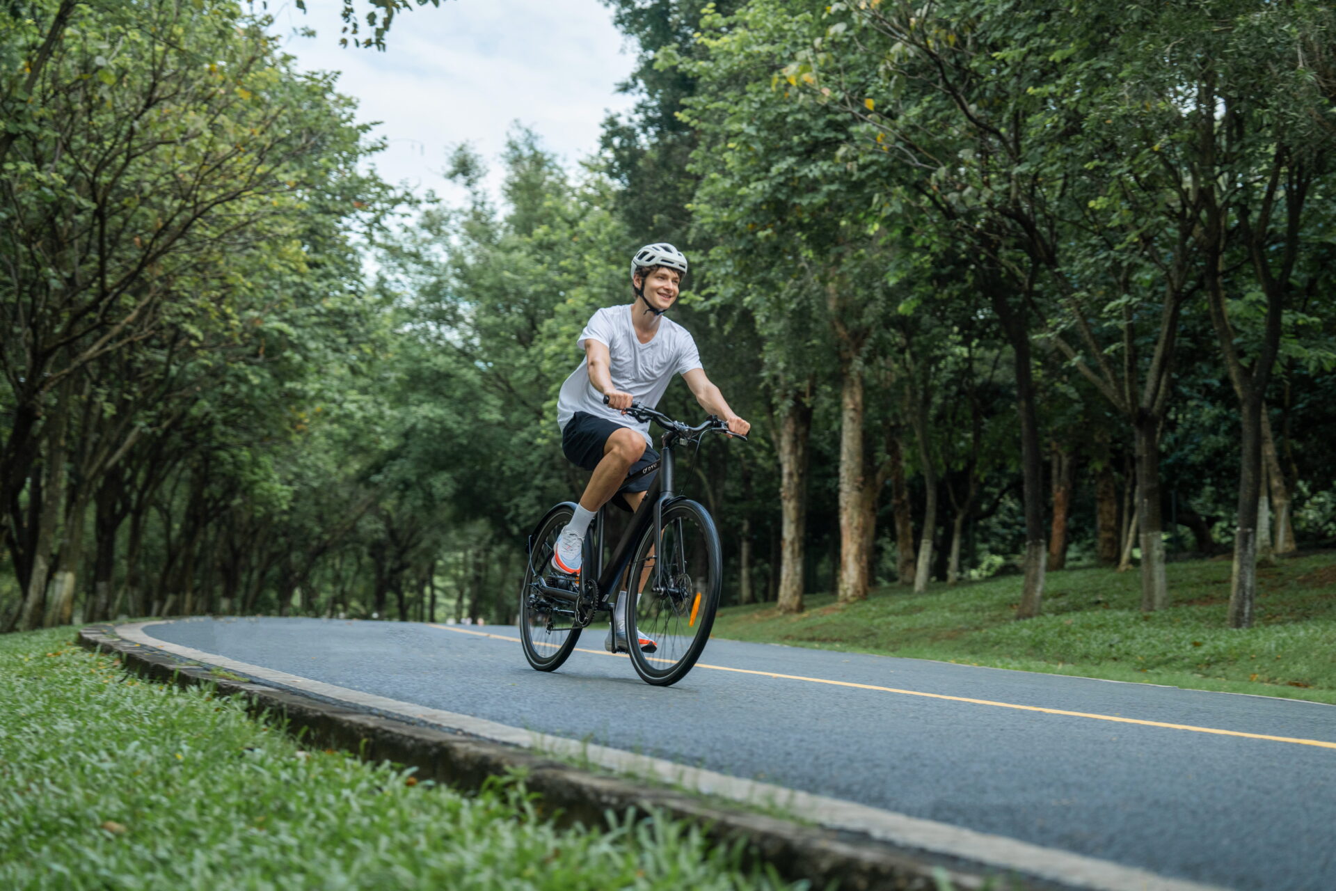 Sheffield’s Urban Forest Plan: How E-Bikes Are Planting the Seeds for a Greener City 4 Sheffield’s Urban Forest Plan: How E-Bikes Are Planting the Seeds for a Greener City 4