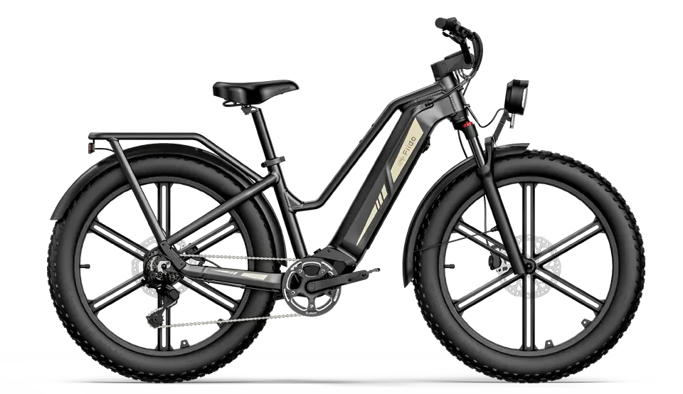 DYU C1 or FIIDO Titan: Best Value E-Bike Face-Off 7