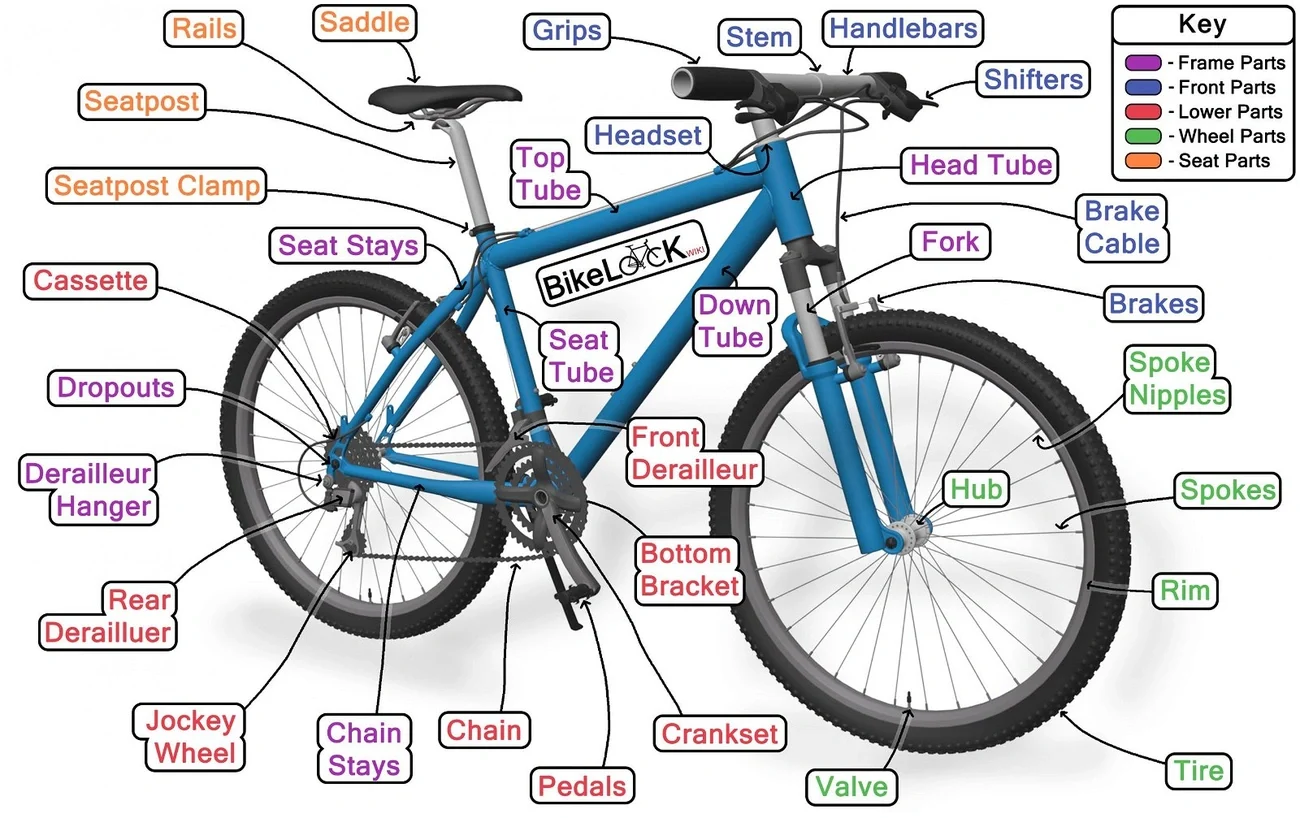 How to Master Electric Mountain Bikes (Without Making Common Mistakes) 5