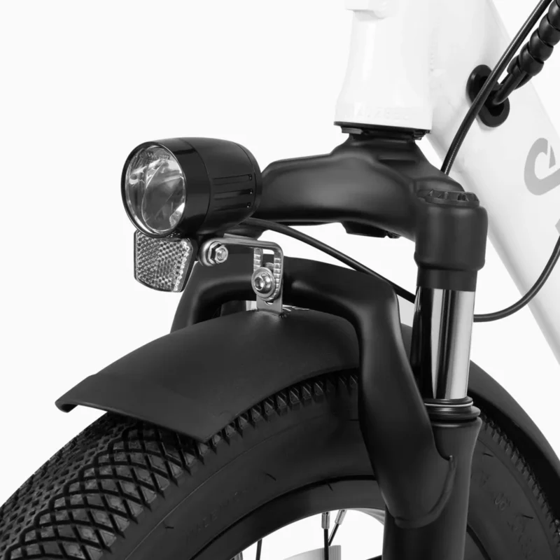 DYU C9 20 Inch Long‑Range Foldable E‑Bike – 48 V 15.6Ah Battery, Up to 150 km Range 5